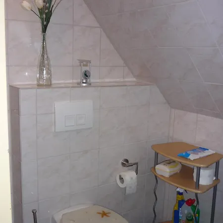 Seestern * 纽哈灵吉塞尔